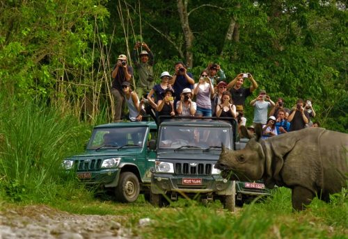 Jungle Safari at Chitwan