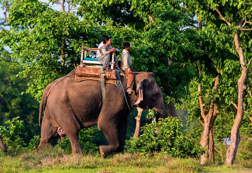 Chitwan National Park